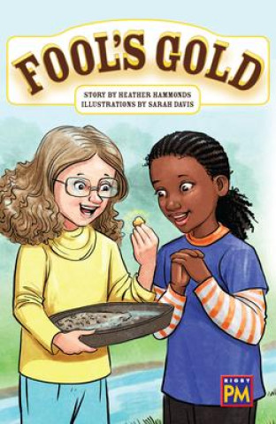 Fool's Gold: Leveled Reader Ruby Level 27