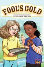 Fool's Gold: Leveled Reader Ruby Level 27