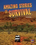 Amazing Stories of Survival: Leveled Reader Ruby Level 28