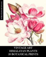 Vintage Art
