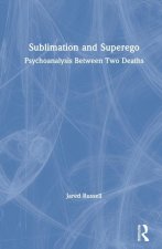 Sublimation and Superego