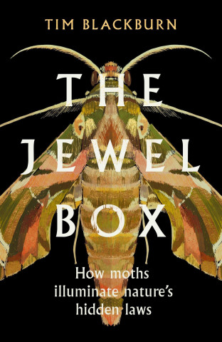 Jewel Box