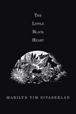 Little Black Heart