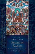 Shangpa Kagyu: The Tradition of Khyungpo Naljor