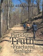 Particles of Truth in Fractured Sunlight