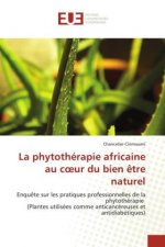 phytotherapie africaine au coeur du bien etre naturel