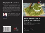 Effetto di fosforo e PSB su crescita, resa e qualita di Greengram