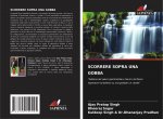 Scorrere Sopra Una Gobba