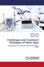Challenges and Treatment Strategies of Open Apex
