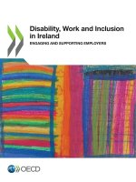 Disability, work and inclusion in Ireland