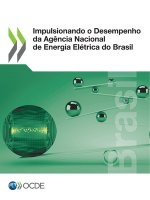 Impulsionando O Desempenho Da Agencia Nacional de Energia Eletrica Do Brasil