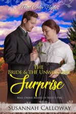 Bride & the Unwelcome Surprise