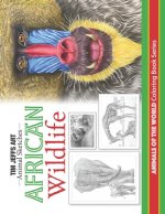 African Wildlife