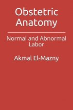 Obstetric Anatomy