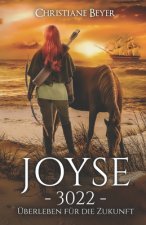 Joyse -3022-