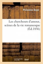 Les chercheurs d'amour, scènes de la vie romanesque
