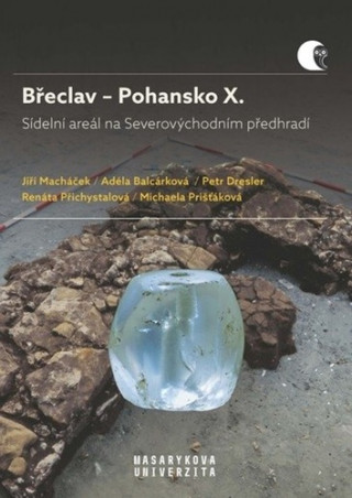 Bďż˝eclav ďż˝ Pohansko X.