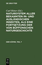 Kafer, Teil 7