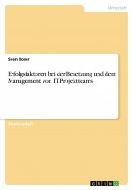 Erfolgsfaktoren bei der Besetzung und dem Management von IT-Projektteams