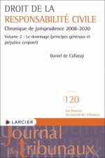 Droit de la responsabilité civile - Chronique de jurisprudence 2008-2020 Volume 2 : Le dommage (