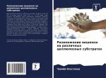 Размножение вешенки на р