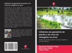 Influencia da geometria de plantio e do nivel de nitrogenio no arroz