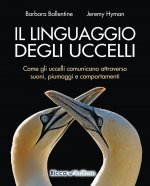 linguaggio degli uccelli. Come gli uccelli comunicano attraverso suoni, piumaggi e comportamenti