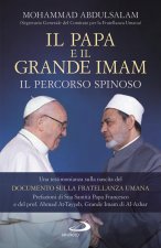 Papa e il Grande Imam. Il percorso spinoso. Una testimonianza sulla nascita del Documento sulla Fratellanza Umana