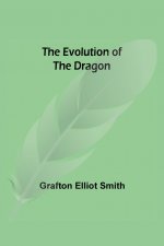 Evolution of the Dragon