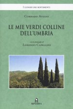 mie verdi colline dell'Umbria