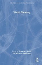 Visual Memory