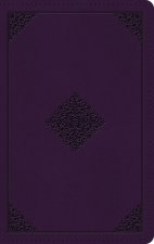 ESV Large Print Personal Size Bible