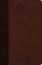 ESV Large Print Thinline Reference Bible