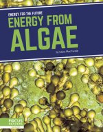 Energy for the Future: Energy from Algae