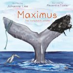Maximus the Humpback Whale