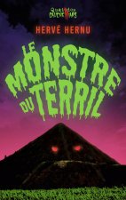 LE MONSTRE DU TERRIL