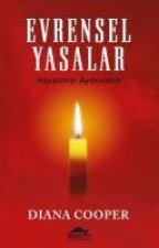 Evrensel Yasalar