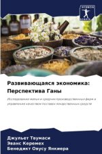 Развивающаяся экономик&#