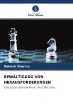 Bewaltigung Von Herausforderungen