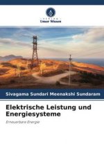 Elektrische Leistung und Energiesysteme