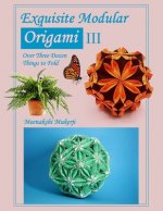Exquisite Modular Origami III