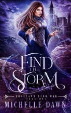Find the Storm