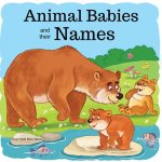 Animal Babies and their Names