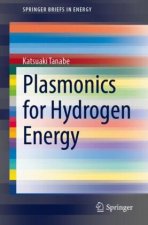 Plasmonics for Hydrogen Energy