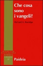 Che cosa sono i vangeli?