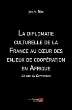 La diplomatie culturelle de la France au cœur des enjeux de coopération en Afrique