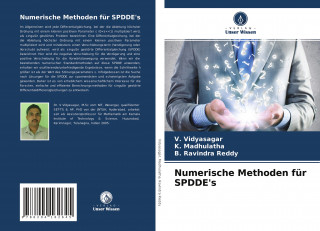 Numerische Methoden fur SPDDE's