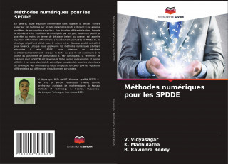Methodes numeriques pour les SPDDE