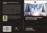 Methodes numeriques pour les SPDDE
