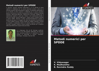 Metodi numerici per SPDDE